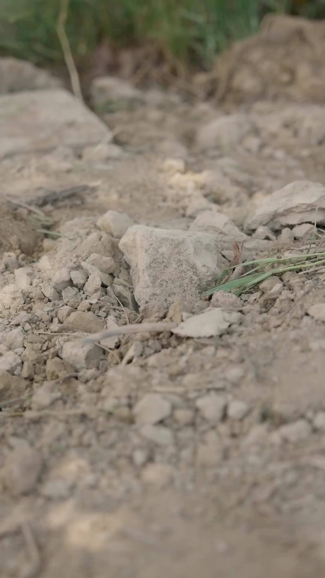 Episode 32 - He Risked Everything to Build Their Road